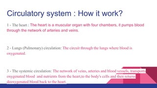 Cardiovascular system Slide 48