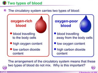 © Boardworks Ltd 200411 of 49
The arrangement of the circulatory system means that these
two types of blood do not mix. Why is this important?
Two types of blood
The circulatory system carries two types of blood:
oxygen-rich
blood
c
oxygen-poor
blood
blood travelling
to the body cells
high oxygen content
low carbon dioxide
content
blood travelling
away from the body cells
low oxygen content
high carbon dioxide
content
 