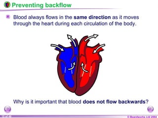 © Boardworks Ltd 200415 of 49
Preventing backflow
Blood always flows in the same direction as it moves
through the heart during each circulation of the body.
Why is it important that blood does not flow backwards?
 