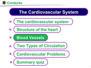 © Boardworks Ltd 200421 of 49
Two Types of Circulation
The Cardiovascular System
The cardiovascular system
Structure of the heart
Blood Vessels
Cardiovascular Problems
Contents
Summary quiz
 