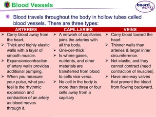 © Boardworks Ltd 200422 of 49
Blood travels throughout the body in hollow tubes called
blood vessels. There are three types:
Blood Vessels
ARTERIES
 Carry blood away from
the heart.
 Thick and highly elastic
walls with a layer of
smooth muscle.
 Expansion/contraction
of artery walls provides
additional pumping.
 When you measure
your pulse, what you
feel is the rhythmic
expansion and
contraction of an artery
as blood moves
through it.
CAPILLARIES
 A network of capillaries
joins the arteries with
all the body.
 One-cell-thick
 Is where gases,
nutrients, and other
materials are
transferred from blood
to cells vice versa.
 No cell in the body is
more than three or four
cells away from a
capillary
VEINS
 Carry blood toward the
heart
 Thinner walls than
arteries & larger inner
circumference.
 Not elastic, and they
cannot contract (need
contraction of muscles).
 Have one-way valves
that prevent the blood
from flowing backward.
 