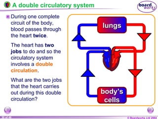 © Boardworks Ltd 200430 of 49
During one complete
circuit of the body,
blood passes through
the heart twice.
The heart has two
jobs to do and so the
circulatory system
involves a double
circulation.
What are the two jobs
that the heart carries
out during this double
circulation?
A double circulatory system
body’s
cells
body’s
cells
lungslungs
 