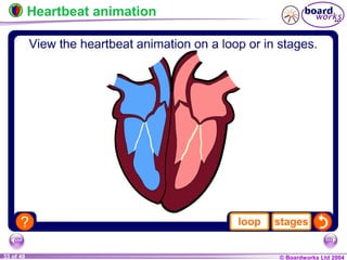 © Boardworks Ltd 200433 of 49
Heartbeat animation
 