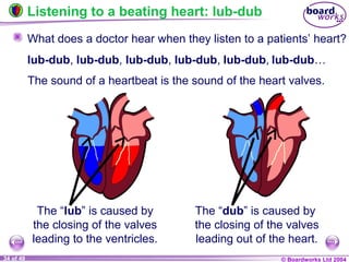 © Boardworks Ltd 200434 of 49
What does a doctor hear when they listen to a patients’ heart?
Listening to a beating heart: lub-dub
The “lub” is caused by
the closing of the valves
leading to the ventricles.
The “dub” is caused by
the closing of the valves
leading out of the heart.
lub-dub,
The sound of a heartbeat is the sound of the heart valves.
lub-dub, lub-dub, lub-dub, lub-dub, lub-dub…
 