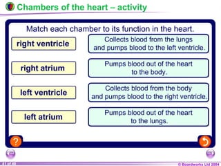 © Boardworks Ltd 200441 of 49
Chambers of the heart – activity
 