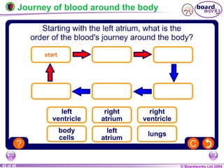 © Boardworks Ltd 200443 of 49
Journey of blood around the body
 