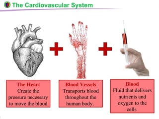 © Boardworks Ltd 20045 of 49
The Cardiovascular System
The Heart
Create the
pressure necessary
to move the blood
Blood
Fluid that delivers
nutrients and
oxygen to the
cells
Blood Vessels
Transports blood
throughout the
human body.
 