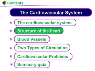 © Boardworks Ltd 20047 of 49
Two Types of Circulation
The Cardiovascular System
The cardiovascular system
Structure of the heart
Blood Vessels
Cardiovascular Problems
Contents
Summary quiz
 