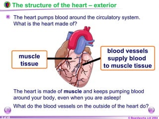 © Boardworks Ltd 20048 of 49
The structure of the heart – exterior
The heart pumps blood around the circulatory system.
What is the heart made of?
The heart is made of muscle and keeps pumping blood
around your body, even when you are asleep!
muscle
tissue
What do the blood vessels on the outside of the heart do?
blood vessels
supply blood
to muscle tissue
 