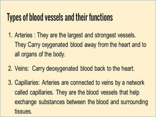 Cardiovascular system 