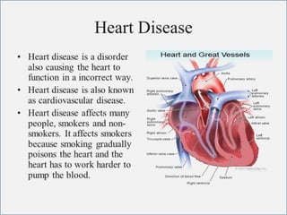 Cardiovascular system 