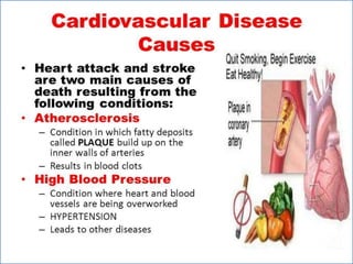 Cardiovascular system 