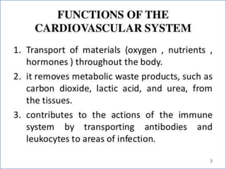 Cardiovascular system 