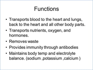 Cardiovascular system 