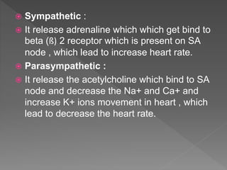  Sympathetic :
 It release adrenaline which which get bind to
beta (ß) 2 receptor which is present on SA
node , which lead to increase heart rate.
 Parasympathetic :
 It release the acetylcholine which bind to SA
node and decrease the Na+ and Ca+ and
increase K+ ions movement in heart , which
lead to decrease the heart rate.
 