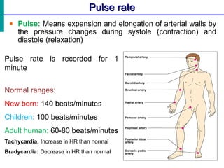Pulse ratePulse rate
• Pulse: Means expansion and elongation of arterial walls by
the pressure changes during systole (contraction) and
diastole (relaxation)
Pulse rate is recorded for 1
minute
Normal ranges:
New born: 140 beats/minutes
Children: 100 beats/minutes
Adult human: 60-80 beats/minutes
Tachycardia: Increase in HR than normal
Bradycardia: Decrease in HR than normal
 