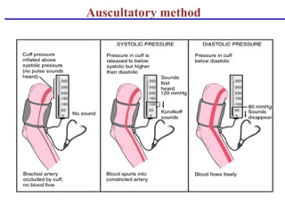 Cardiovascular system | PPT