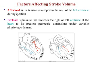 Factors Affecting Stroke Volume
 Afterload is the tension developed in the wall of the left ventricle
during ejection
 Preload is pressure that stretches the right or left ventricle of the
heart to its greatest geometric dimensions under variable
physiologic demand
 