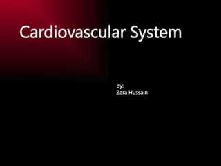 Cardiovascular System
By:
Zara Hussain
 