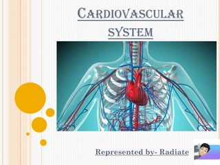 CARDIOVASCULAR
SYSTEM
Represented by- Radiate
 