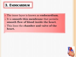 3. ENDOCARDIUM
 The inner layer is known as endocardium.
 It is smooth thin membrane that permits
smooth flow of blood inside the heart.
 This lines the chamber and valve of the
heart.
 