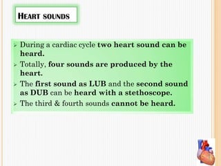 HEART SOUNDS
 During a cardiac cycle two heart sound can be
heard.
 Totally, four sounds are produced by the
heart.
 The first sound as LUB and the second sound
as DUB can be heard with a stethoscope.
 The third & fourth sounds cannot be heard.
 