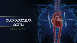 CARDIOVASCULAR
SYSTEM
Parts and Functions
 