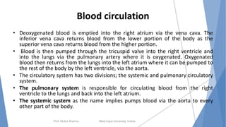 Blood circulation
• Deoxygenated blood is emptied into the right atrium via the vena cava. The
inferior vena cava returns blood from the lower portion of the body as the
superior vena cava returns blood from the higher portion.
• Blood is then pumped through the tricuspid valve into the right ventricle and
into the lungs via the pulmonary artery where it is oxygenated. Oxygenated
blood then returns from the lungs into the left atrium where it can be pumped to
the rest of the body by the left ventricle, via the aorta.
• The circulatory system has two divisions; the systemic and pulmonary circulatory
system.
• The pulmonary system is responsible for circulating blood from the right
ventricle to the lungs and back into the left atrium.
• The systemic system as the name implies pumps blood via the aorta to every
other part of the body.
Prof. Mukul Sharma Medi-Caps University, Indore 11
 
