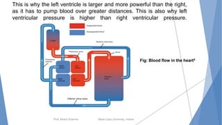 Prof. Mukul Sharma Medi-Caps University, Indore
This is why the left ventricle is larger and more powerful than the right,
as it has to pump blood over greater distances. This is also why left
ventricular pressure is higher than right ventricular pressure.
12
Fig: Blood flow in the heart5
 