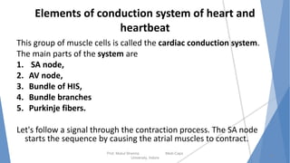 Elements of conduction system of heart and
heartbeat
This group of muscle cells is called the cardiac conduction system.
The main parts of the system are
1. SA node,
2. AV node,
3. Bundle of HIS,
4. Bundle branches
5. Purkinje fibers.
Let's follow a signal through the contraction process. The SA node
starts the sequence by causing the atrial muscles to contract.
Prof. Mukul Sharma Medi-Caps
University, Indore
19
 