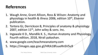 References
1. Waugh Anne, Grant Allison, Ross & Wilson: Anatomy and
physiology in health & illness 2006, edition 10th, Elsevier
publication.
2. Tortora GJ, Derrickson B, Principles of anatomy & physiology
2007, edition 11th, John wiley & sons. Inc.
3. Ingawale K D., Mandlik K. S., Human Anatomy and Physiology,
Fourth edition, 2018, Nirali pakashan.
4. www.google.com/teachmeanatomy.com
5. https://images.app.goo.gl/HRJk1BfuueRnSV5u9
Prof. Mukul Sharma Medi-Caps University, Indore 26
 