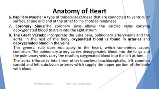 Anatomy of Heart
6. Papillary Muscle: A type of trabeculae carneae that are connected to ventricular
surface at one end and at the other to the chordae tendineae.
7. Coronary Sinus:The coronary sinus allows the cardiac veins carrying
deoxygenated blood to drain into the right atrium.
8. The Great Vessels: Incorporate the vena cava, pulmonary artery/veins and the
aorta. In the rest of the body oxygenated blood is found in arteries and
deoxygenated blood in the veins.
This general rule does not apply to the heart, which sometimes causes
confusion. The pulmonary artery carries deoxygenated blood into the lungs and
the pulmonary veins carry the resulting oxygenated blood into the left atrium.
The aorta trifurcates into three other branches; brachiocephalic, left common
carotid and left subclavian arteries which supply the upper portion of the body
with blood.
Prof. Mukul Sharma Medi-Caps University, Indore
7
 