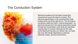 The Conduction System
Electrical impulses from the heart muscle (the
myocardium) cause the heart to contract. This
electrical signal begins in the sinoatrial (SA) node,
located at the top of the right atrium. The SA node is
sometimes called the heart’s ‘natural pacemaker’. An
electrical impulse from this natural pacemaker travels
through the muscle fibers of the atria and ventricles,
causing them to contract. Although the SA node
sends electrical impulses at a certain rate, our heart
rate may still change depending on physical
demands, stress, and hormonal factors.
 