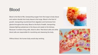 Blood
Blood is the fluid of life, transporting oxygen from the lungs to body tissue
and carbon dioxide from body tissue to the lungs. Blood is the fluid of
growth, transporting nourishment from digestion and hormones from
glands throughout the body. Blood is the fluid of health, transporting
disease-fighting substances to the tissue and waste to the kidneys.
Because it contains living cells, blood is alive. Red blood cells and white
blood cells are responsible for nourishing and cleansing the body.
Without blood, the human body would stop working.
 