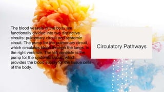 Circulatory Pathways
The blood vessels of the body are
functionally divided into two distinctive
circuits: pulmonary circuit and systemic
circuit. The pump for the pulmonary circuit,
which circulates blood through the lungs, is
the right ventricle. The left ventricle is the
pump for the systemic circuit, which
provides the blood supply for the tissue cells
of the body.
 