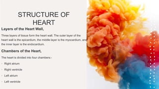STRUCTURE OF
HEART
Layers of the Heart Wall,
Three layers of tissue form the heart wall. The outer layer of the
heart wall is the epicardium, the middle layer is the myocardium, and
the inner layer is the endocardium.
Chambers of the Heart,
The heart is divided into four chambers:-
• Right atrium
• Right ventricle
• Left atrium
• Left ventricle
 