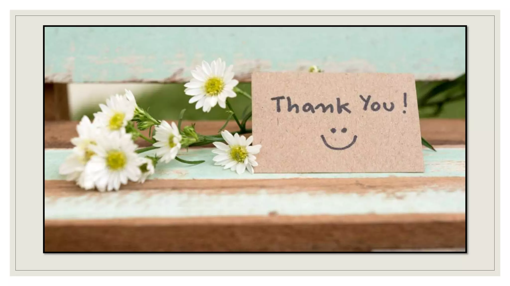 arteries, arterioles, veins, venules, capillary and fluid or gaseous exchange in tissues.