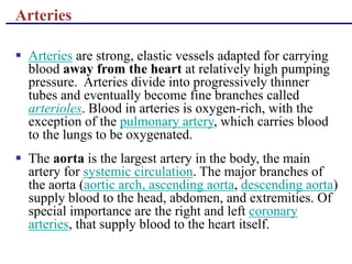 Arteries
 Arteries are strong, elastic vessels adapted for carrying
blood away from the heart at relatively high pumping
pressure. Arteries divide into progressively thinner
tubes and eventually become fine branches called
arterioles. Blood in arteries is oxygen-rich, with the
exception of the pulmonary artery, which carries blood
to the lungs to be oxygenated.
 The aorta is the largest artery in the body, the main
artery for systemic circulation. The major branches of
the aorta (aortic arch, ascending aorta, descending aorta)
supply blood to the head, abdomen, and extremities. Of
special importance are the right and left coronary
arteries, that supply blood to the heart itself.
 