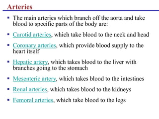Arteries
 The main arteries which branch off the aorta and take
blood to specific parts of the body are:
 Carotid arteries, which take blood to the neck and head
 Coronary arteries, which provide blood supply to the
heart itself
 Hepatic artery, which takes blood to the liver with
branches going to the stomach
 Mesenteric artery, which takes blood to the intestines
 Renal arteries, which takes blood to the kidneys
 Femoral arteries, which take blood to the legs
 