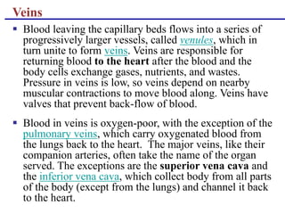 Veins
 Blood leaving the capillary beds flows into a series of
progressively larger vessels, called venules, which in
turn unite to form veins. Veins are responsible for
returning blood to the heart after the blood and the
body cells exchange gases, nutrients, and wastes.
Pressure in veins is low, so veins depend on nearby
muscular contractions to move blood along. Veins have
valves that prevent back-flow of blood.
 Blood in veins is oxygen-poor, with the exception of the
pulmonary veins, which carry oxygenated blood from
the lungs back to the heart. The major veins, like their
companion arteries, often take the name of the organ
served. The exceptions are the superior vena cava and
the inferior vena cava, which collect body from all parts
of the body (except from the lungs) and channel it back
to the heart.
 