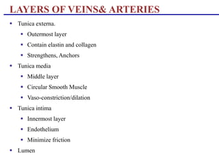 LAYERS OF VEINS& ARTERIES
 Tunica externa.
 Outermost layer
 Contain elastin and collagen
 Strengthens, Anchors
 Tunica media
 Middle layer
 Circular Smooth Muscle
 Vaso-constriction/dilation
 Tunica intima
 Innermost layer
 Endothelium
 Minimize friction
 Lumen
 