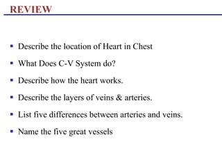 REVIEW
 Describe the location of Heart in Chest
 What Does C-V System do?
 Describe how the heart works.
 Describe the layers of veins & arteries.
 List five differences between arteries and veins.
 Name the five great vessels
 