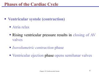 Chapter 18, Cardiovascular System 62
Phases of the Cardiac Cycle
 Ventricular systole (contraction)
 Atria relax
 Rising ventricular pressure results in closing of AV
valves
 Isovolumetric contraction phase
 Ventricular ejection phase opens semilunar valves
 
