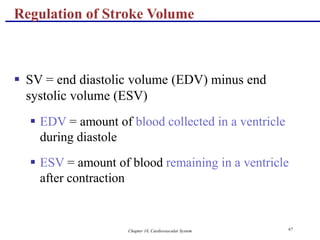 Chapter 18, Cardiovascular System 67
Regulation of Stroke Volume
 SV = end diastolic volume (EDV) minus end
systolic volume (ESV)
 EDV = amount of blood collected in a ventricle
during diastole
 ESV = amount of blood remaining in a ventricle
after contraction
 