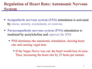Chapter 18, Cardiovascular System 75
 Sympathetic nervous system (SNS) stimulation is activated
by stress, anxiety, excitement, or exercise
 Parasympathetic nervous system (PNS) stimulation is
mediated by acetylcholine and opposes the SNS
 PNS dominates the autonomic stimulation, slowing heart
rate and causing vagal tone
 If the Vagus Nerve was cut, the heart would lose its tone.
Thus, increasing the heart rate by 25 beats per minute.
Regulation of Heart Rate: Autonomic Nervous
System
 