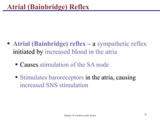 Chapter 18, Cardiovascular System 76
Atrial (Bainbridge) Reflex
 Atrial (Bainbridge) reflex – a sympathetic reflex
initiated by increased blood in the atria
 Causes stimulation of the SA node
 Stimulates baroreceptors in the atria, causing
increased SNS stimulation
 