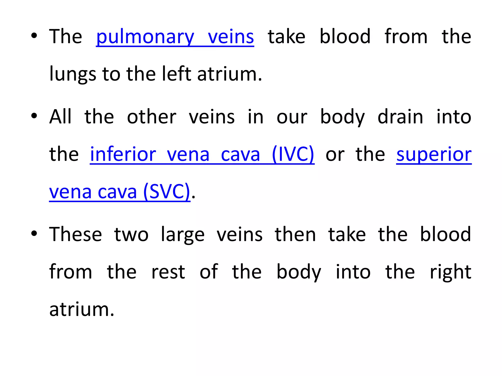 • The pulmonary veins take blood from the
lungs to the left atrium.
• All the other veins in our body drain into
the inferior vena cava (IVC) or the superior
vena cava (SVC).
• These two large veins then take the blood
from the rest of the body into the right
atrium.
 