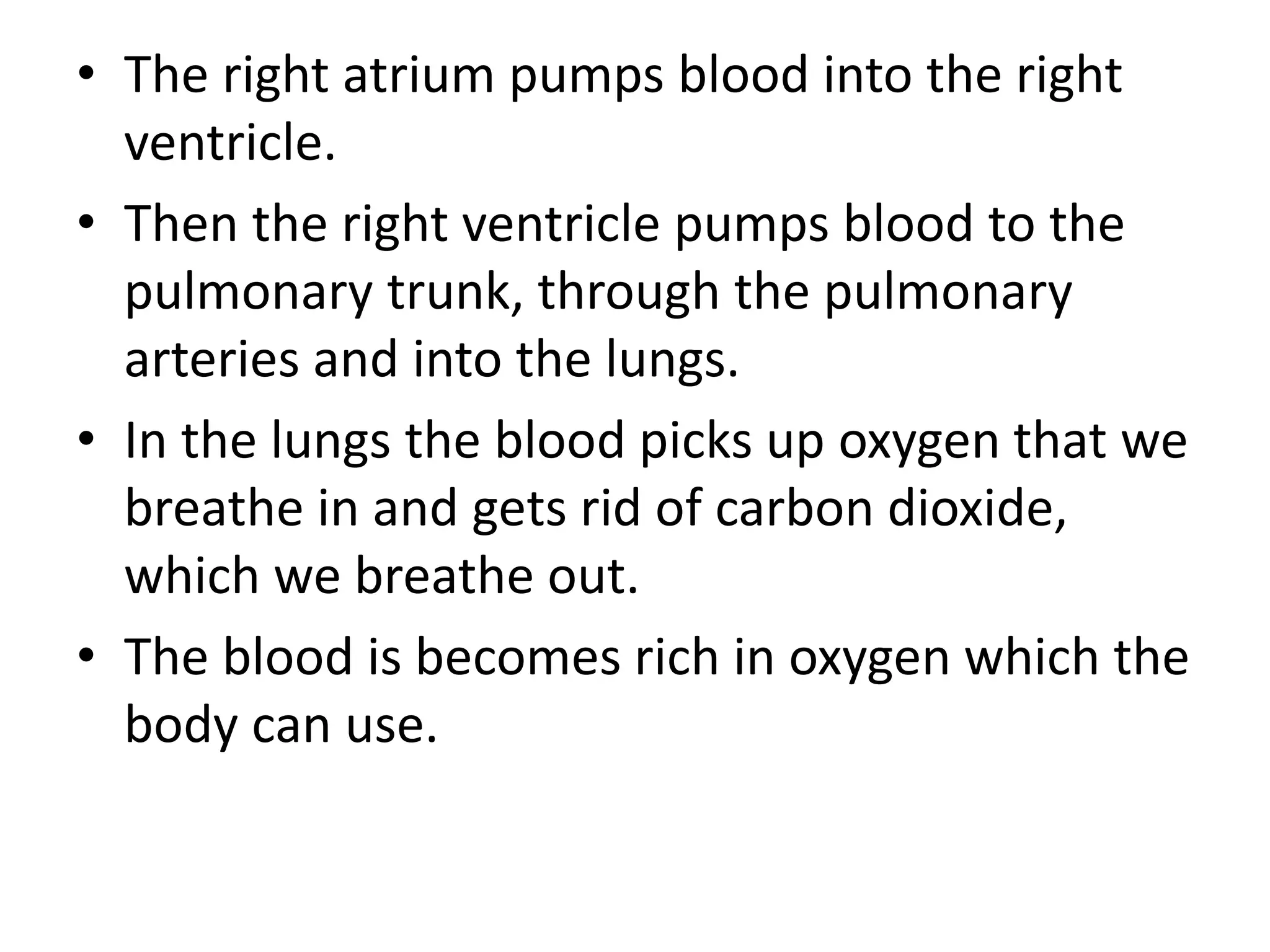 • The right atrium pumps blood into the right
ventricle.
• Then the right ventricle pumps blood to the
pulmonary trunk, through the pulmonary
arteries and into the lungs.
• In the lungs the blood picks up oxygen that we
breathe in and gets rid of carbon dioxide,
which we breathe out.
• The blood is becomes rich in oxygen which the
body can use.
 