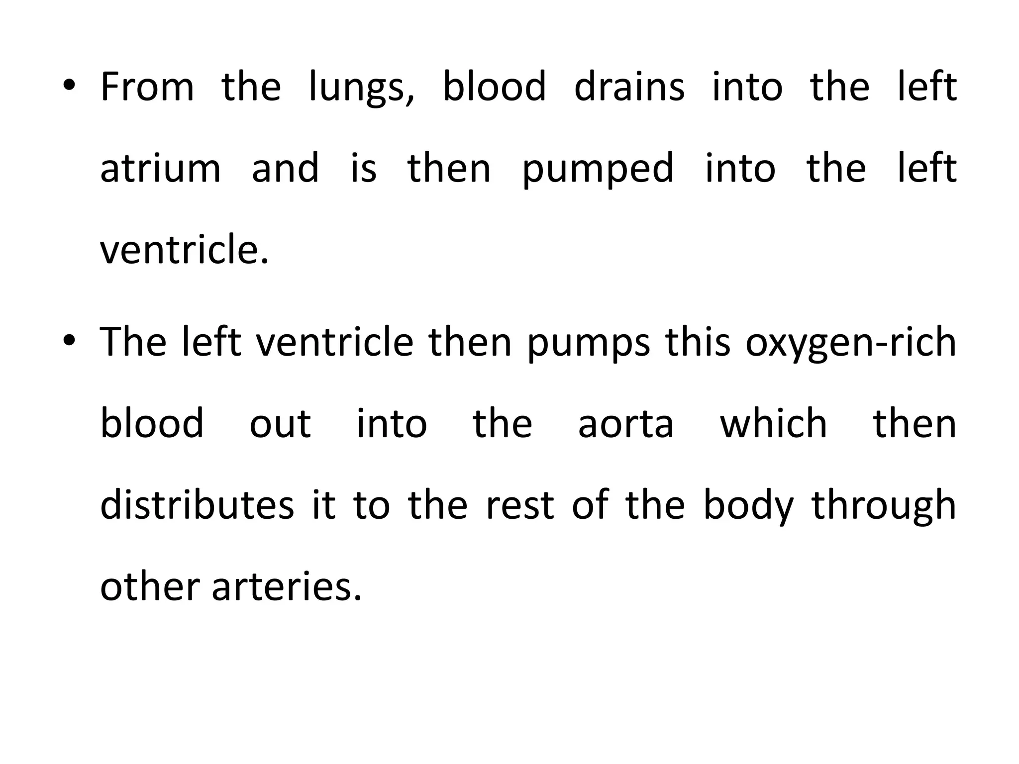 • From the lungs, blood drains into the left
atrium and is then pumped into the left
ventricle.
• The left ventricle then pumps this oxygen-rich
blood out into the aorta which then
distributes it to the rest of the body through
other arteries.
 
