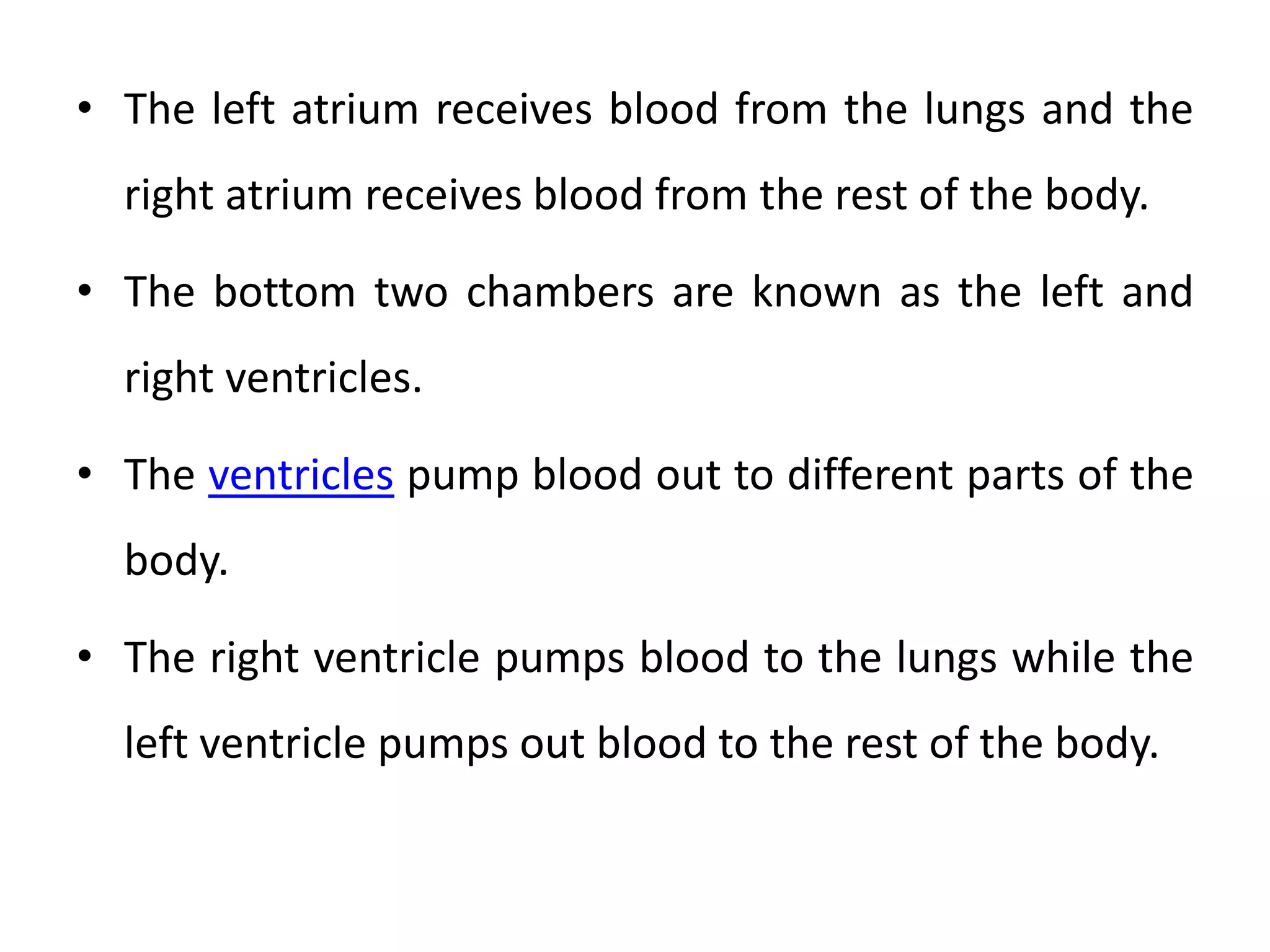• The left atrium receives blood from the lungs and the
right atrium receives blood from the rest of the body.
• The bottom two chambers are known as the left and
right ventricles.
• The ventricles pump blood out to different parts of the
body.
• The right ventricle pumps blood to the lungs while the
left ventricle pumps out blood to the rest of the body.
 